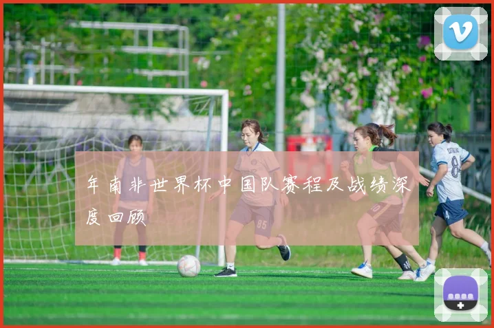 年南非世界杯中国队赛程及战绩深度回顾