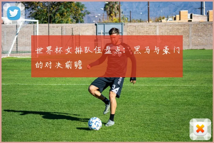 世界杯女排队伍盘点：黑马与豪门的对决前瞻