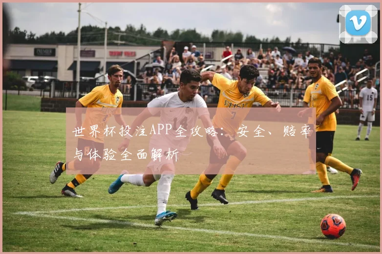 世界杯投注APP全攻略：安全、赔率与体验全面解析