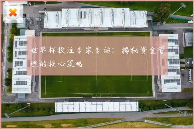 世界杯投注专家专访：揭秘资金管理的核心策略