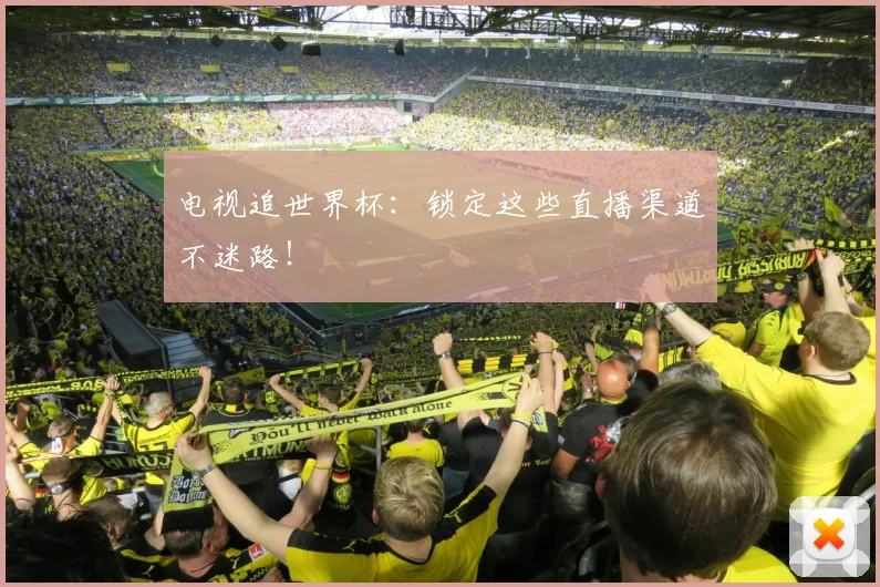 电视追世界杯:锁定这些直播渠道不迷路!