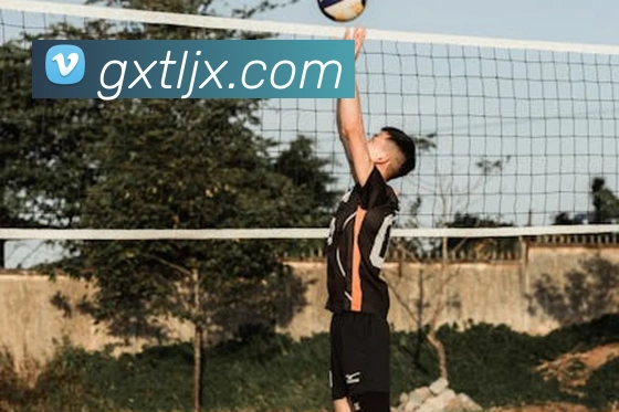 爱游戏app网页版入口品牌故事