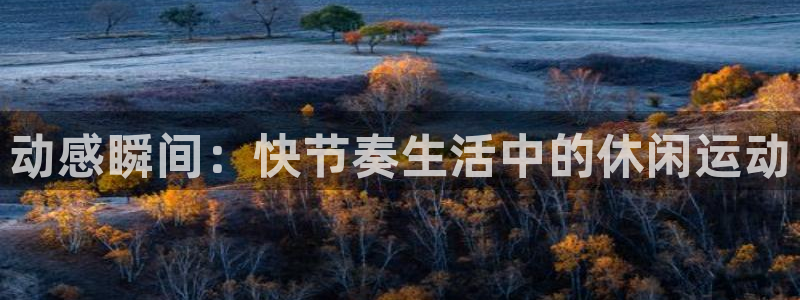 海南oety欧亿体育官网下载:动感瞬间:快节奏生活中的休闲运